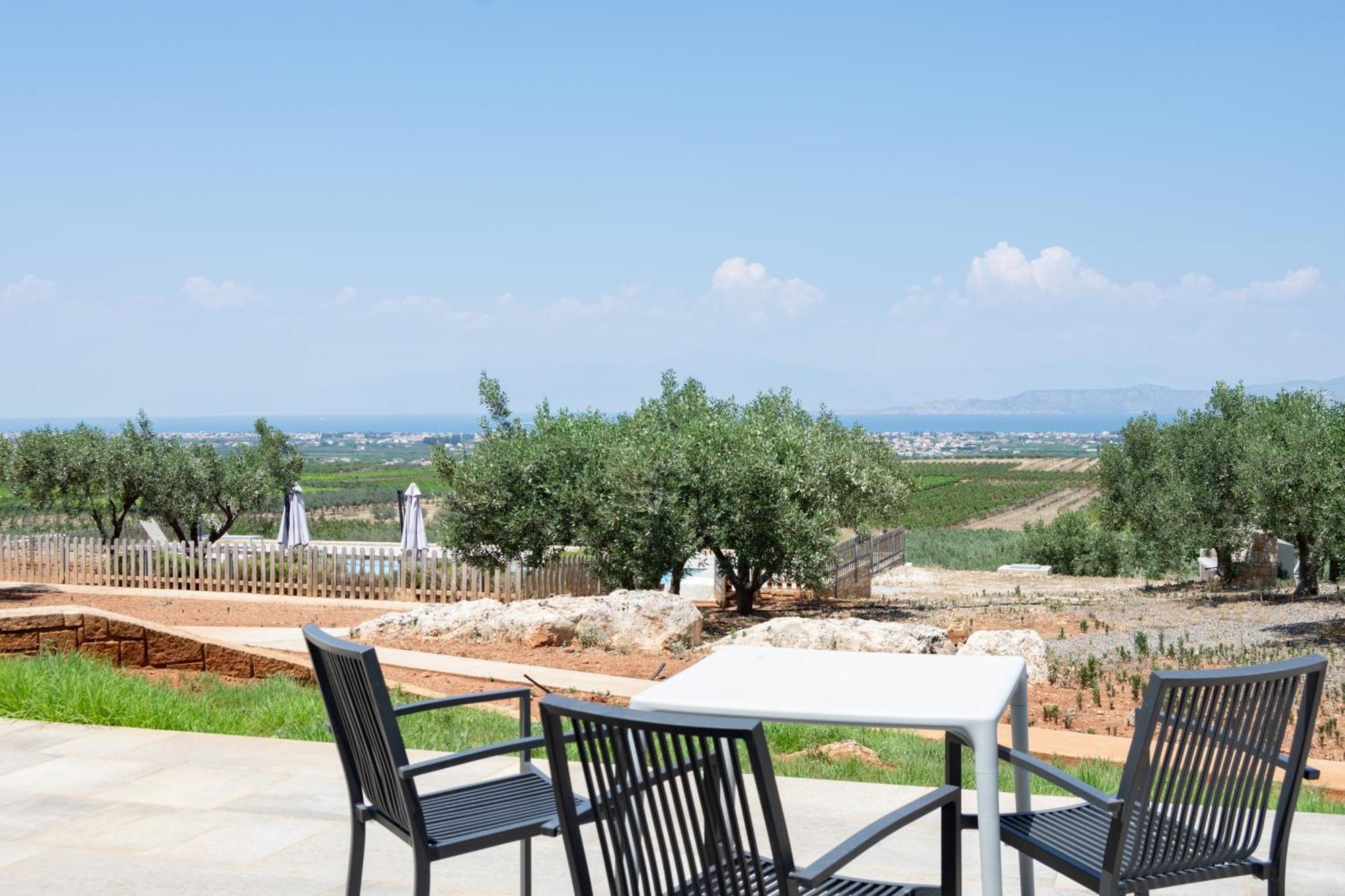 Hébergement de vacances The Olive Hill